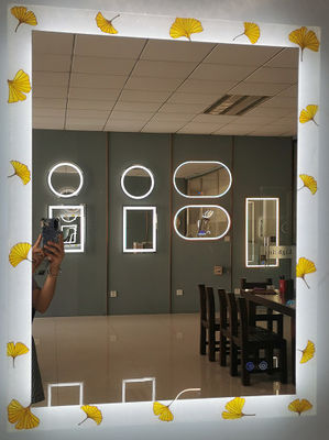 OEM ODM LED Bathroom Mirror Light Enamel Coloured LED Lighted Mirror