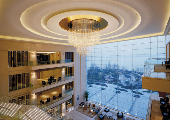 OEM ODM Creative Art Pendant Light For High End Places